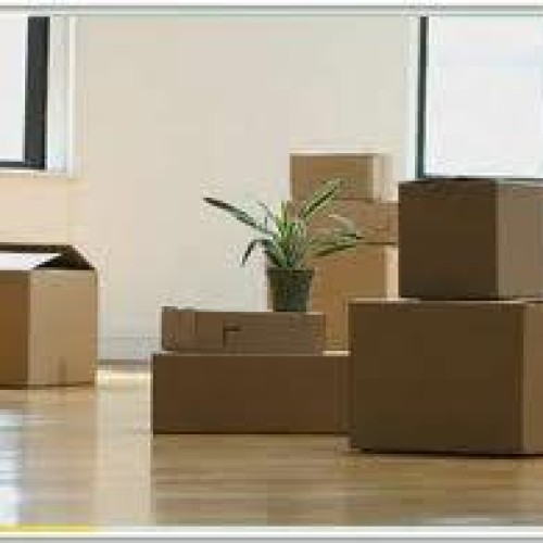 Packers movers delhi
